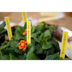 Brother - P-touch, PT-H110, Easy Portable Label Maker, Lightweight, Qwerty Keyboard, One-Touch Keys - White/Gray -Electronics 60247a69 df46 5e54 b131 770624b2aa63