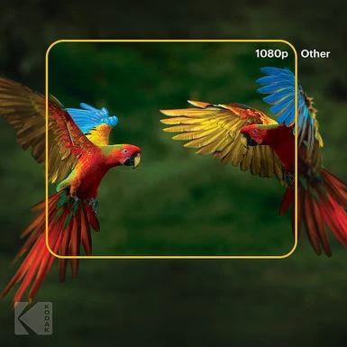 Kodak - FLIK HD9 Smart Projector, 1080p Portable Movie Projector With Android TV, Wi-Fi, Bluetooth & Built-In Speakers - Black 5 Kodak - FLIK HD9 Smart Projector, 1080p Portable Movie Projector With Android TV, Wi-Fi, Bluetooth & Built-In Speakers - Black - Image 3