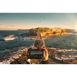 Rode RØDE - VIDEOMICRO Compact On-Camera Microphone 17 Rode RØDE - VIDEOMICRO Compact On-Camera Microphone -Electronics b015dcc4 2f44 5b07 a80d fca26425733e